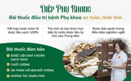 Thành phần dược liệu được sử dụng trong bài thuốc Diệp Phụ Khang đều được đảm bảo sạch, đạt tỷ lệ phù hợp, an toàn với sức khỏe người bệnh
