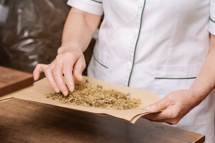 Chữa viêm phụ khoa bằng thuốc nam