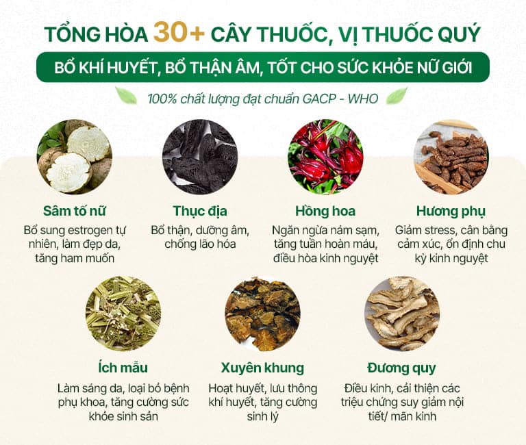 Một số thành phần chính có trong bài thuốc