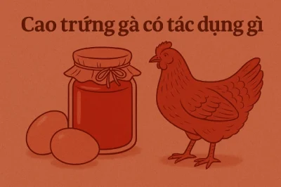 Cao trứng gà có tác dụng gì