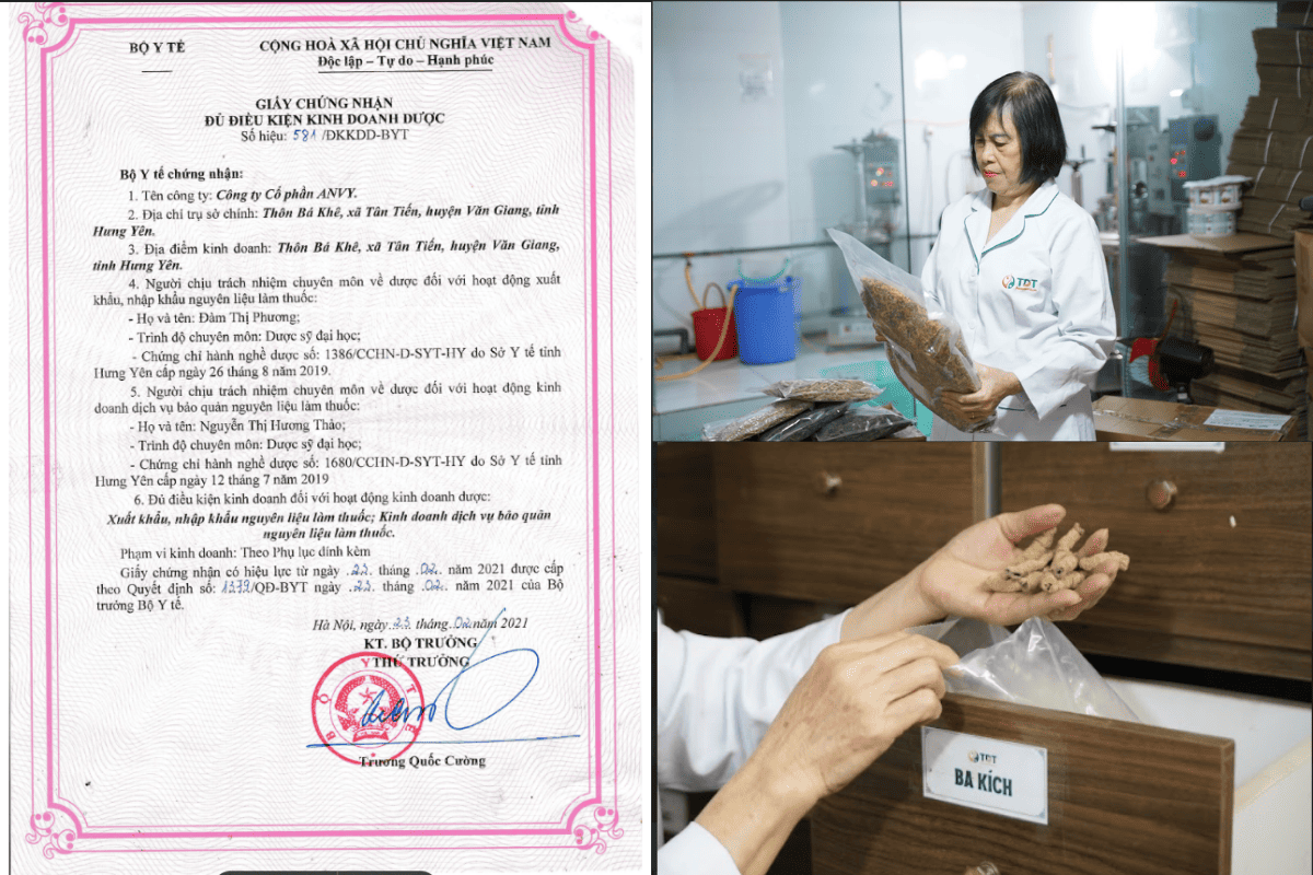 Dược liệu xử lý viêm lộ tuyến đạt chuẩn