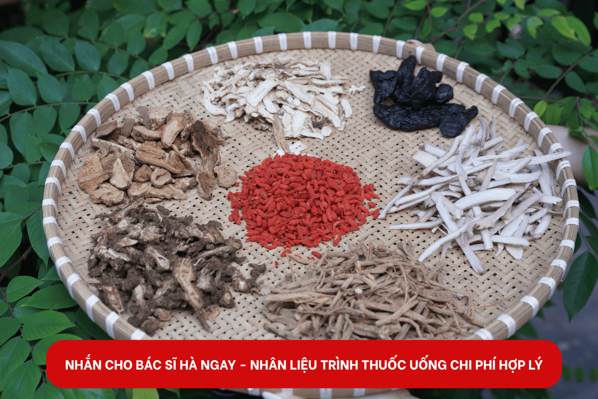 Bài thuốc trị viêm lộ tuyến cổ tử cung