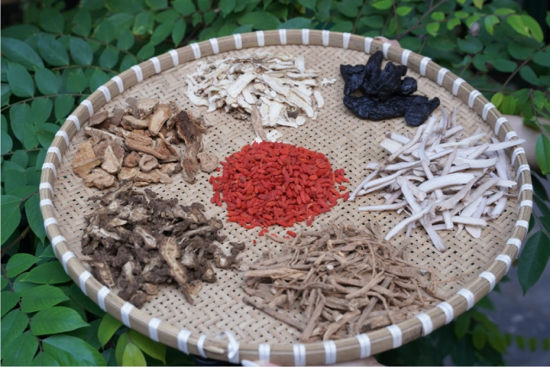 Nhóm thuốc uống điều trị viêm lộ tuyến