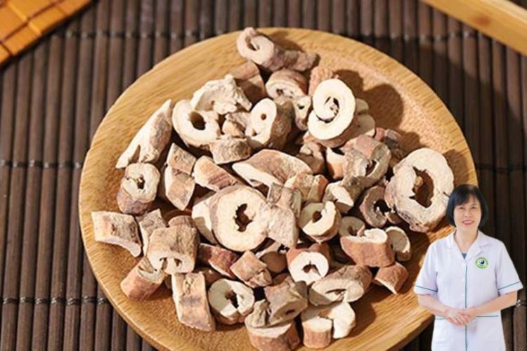 Mẫu đơn bì trong Đông y: Công dụng thanh nhiệt lương huyết, điều hòa khí huyết và ứng dụng cho sức khỏe phụ nữ