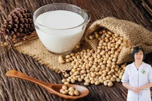 Con Gái Uống Sữa Đậu Nành Có Vô Sinh Không Theo Đông Y Và Thực Hư Ảnh Hưởng Nội Tiết