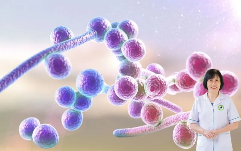 Bị nấm candida c&oacute; bị v&ocirc; sinh kh&ocirc;ng