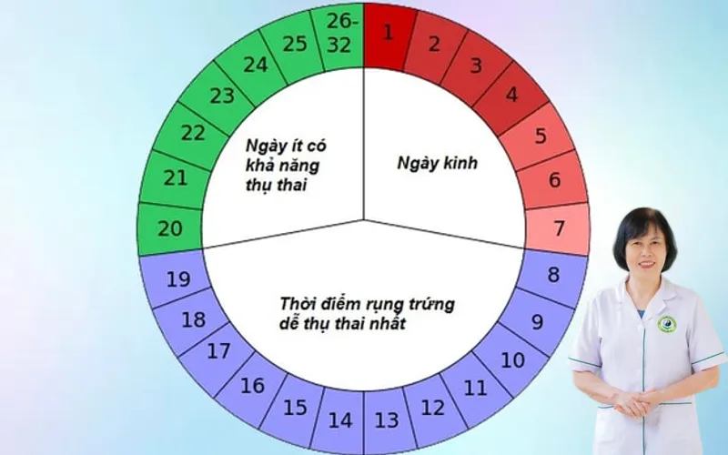 Cách tính ngày thụ thai