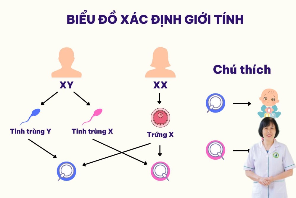 cơ hội thụ thai thấp l&agrave; sao