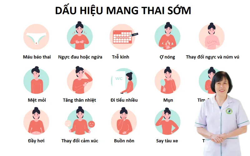 Dấu hiệu thụ thai