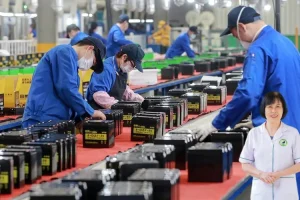 Làm điện tử có gây vô sinh? Giải mã tác hại của sóng điện từ và liệu pháp bổ thận dưỡng tinh.