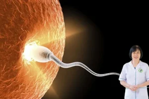 Kích thước nang trứng 12mm và liệu pháp Đông y bổ huyết, điều kinh giúp tăng cơ hội thụ thai.