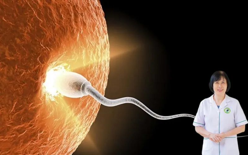 Nang trứng 12mm có thụ thai được không