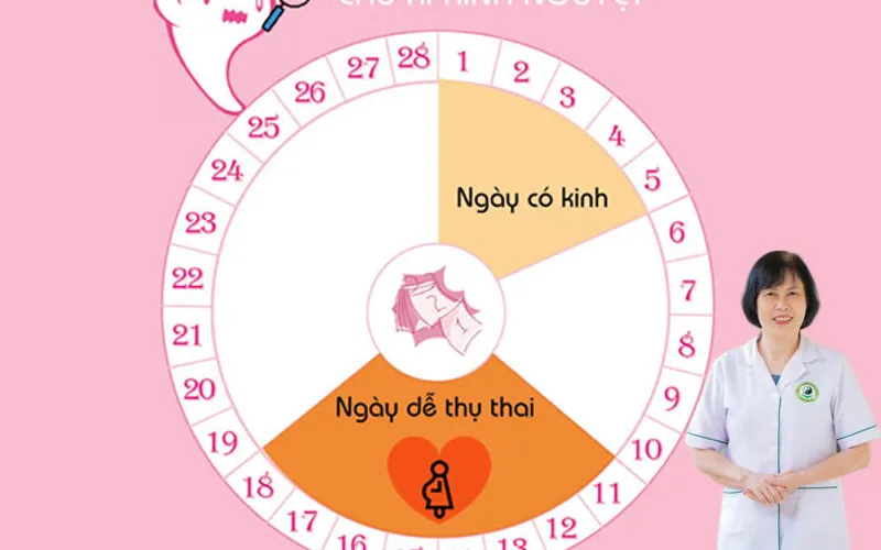 Ng&agrave;y dễ thụ thai