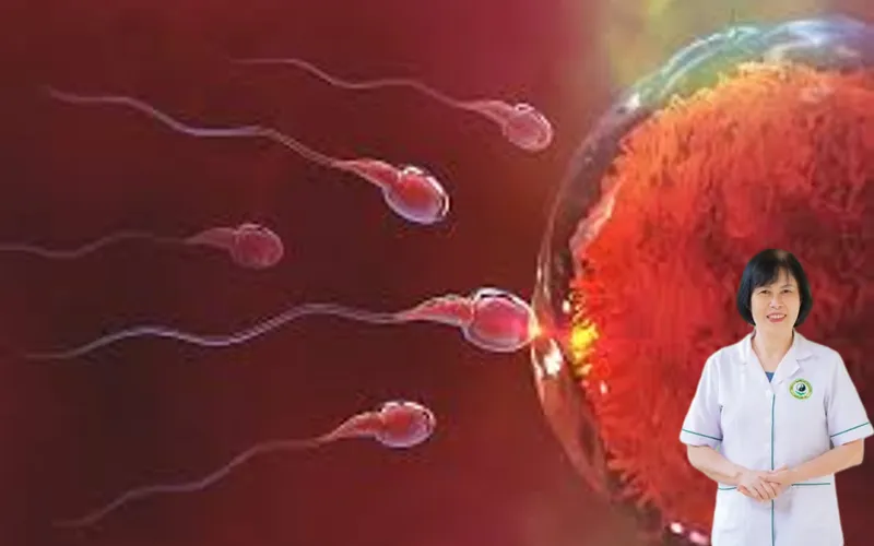 Quan hệ bao l&acirc;u th&igrave; thụ thai