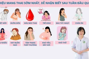 Thời điểm vàng để thụ thai theo Đông y và dấu hiệu nhận biết trứng đã gặp tinh trùng thành công.