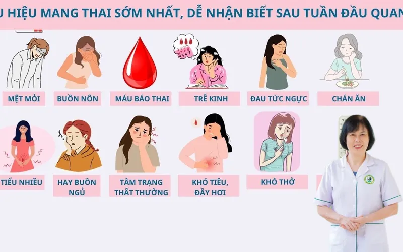 Sau khi quan hệ bao lâu thì thụ thai