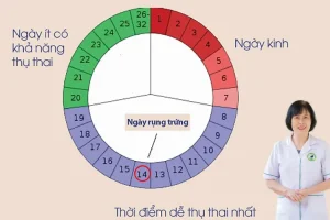 Thiên thời địa lợi cho mầm sống: Bí quyết chọn đúng thời điểm vàng thụ thai theo quy luật âm dương.