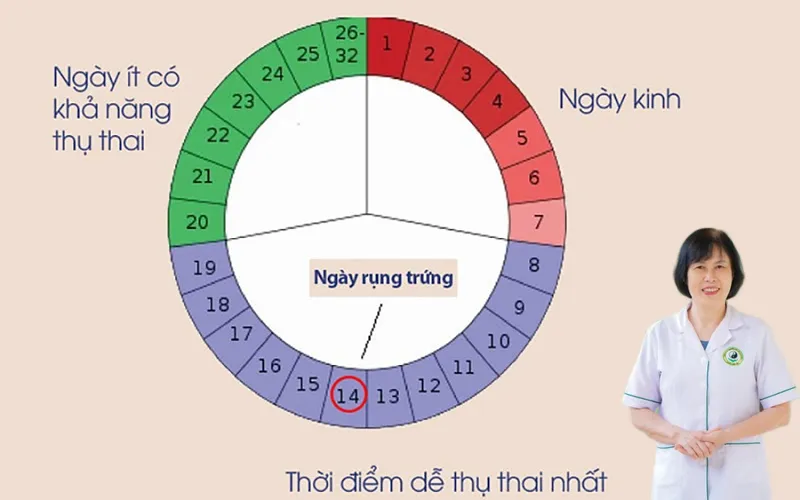 Thời điểm dễ thụ thai