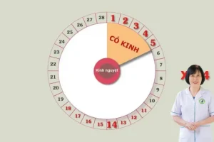 Bí quyết tính ngày thụ thai theo âm dương ngũ hành giúp tăng khả năng đậu thai tự nhiên và hiệu quả.